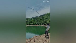 亮gnailux的直播间