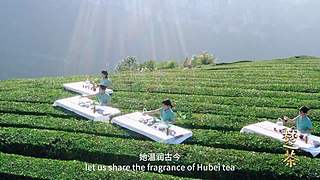 惠影湖北乐享生活-惠民观影活动发布仪式
