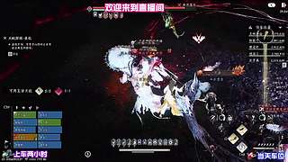 穿行松谷细闻草木清新气息