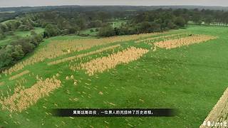 帝国时代4战役剧情