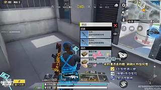 国服第一AKS大师小菜鸡