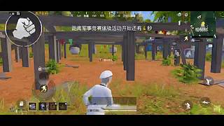 娱乐吃鸡 钢枪fw