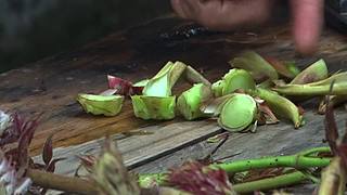 乡土记食的直播间