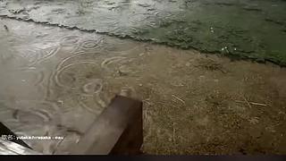 失眠症福音~~~~~~~~~~~