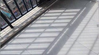 这几天随缘啵啵喔～6662