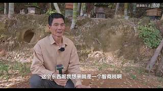 娱乐大于一切 10440627