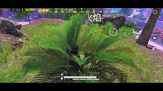 南柯又白给了的直播间
