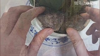 喜欢我的视频或想和我玩，请关注，打赏我哟