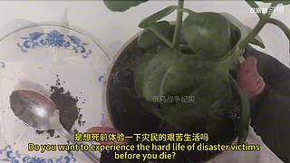 喜欢我的视频或想和我玩，请关注，打赏我哟