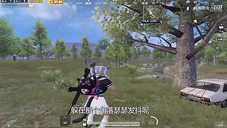 月殿玉兔直播间