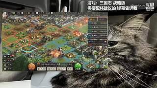 CS2熟悉熟悉官匹