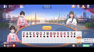 乱斗娱乐一下 11401611