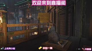 搁置修行细尝街边软糯糕点