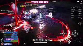 穿行梅坞细嗅寒冬绽放寒香