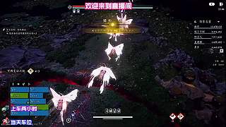 水友单挑，打赢我教全套技巧