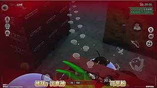 2754号在此的直播间
