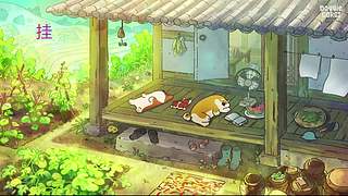 半盏茶烟惹流年的直播间