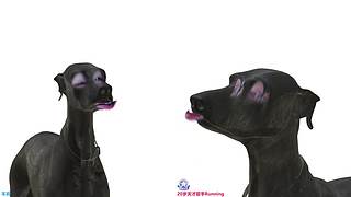 【双倍】今日，仙赐的声音！