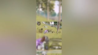 萌新一枚么么哒