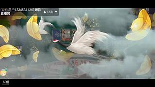八雀狗都不玩！！！！