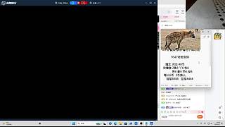 贾人们 晚上好！