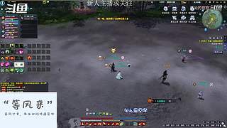 新区DD团招打手