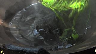 乡土记食的直播间