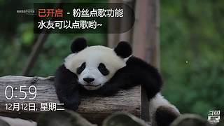 南风旧人10075062