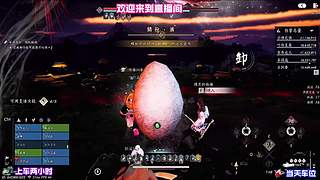 穿行松谷细闻草木清新气息