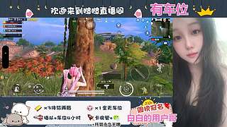 古墓、新海岛、经典