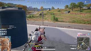 PUBG/酸角洲都可（有位）