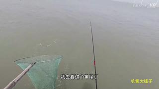 感谢钓友关注，每天分享鱼乐