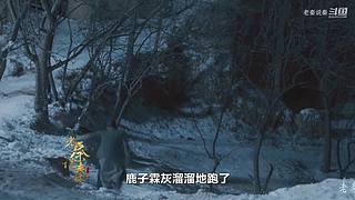 平凡的世界，平凡的人