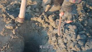 你的海南军阀给你带来最地道的赶海