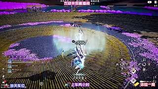 泛舟穿行水乡，搜寻湖畔无人知晓的奇遇