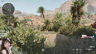 PUBG/酸角洲都可（有位）