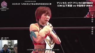 【聊天室】日本女子摔角