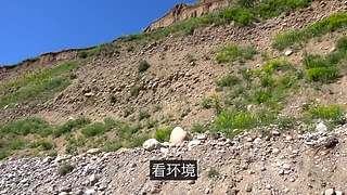 科学黑历史