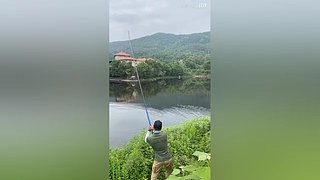 亮gnailux的直播间
