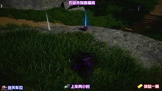 等待昼夜交替，观察城中 NPC 不同作息