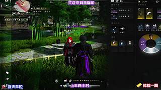 等待昼夜交替，观察城中 NPC 不同作息