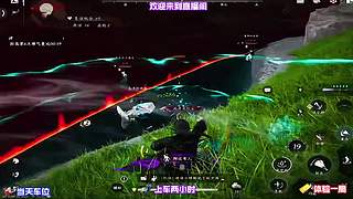 等待昼夜交替，观察城中 NPC 不同作息