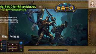 V法-全职业PVP上分(国美欧亚）