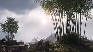 我与将心向明月奈何明月照沟渠
