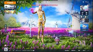 和平精英模拟器 12887860