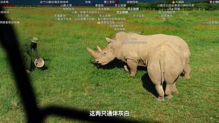 妖一丶CJN的直播间
