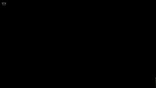 生化4专家通关