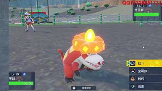 小精灵世界联盟-圣龙