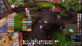 九葵 治疗牧师pvp