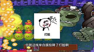 宝子们，开席了！